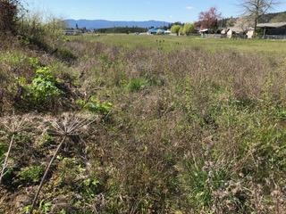 488 S Calapooia St, Sutherlin, OR 97479 photo 5