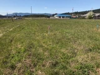 488 S Calapooia St, Sutherlin, OR 97479 photo 11