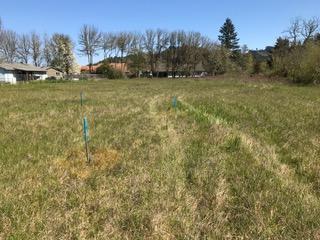 488 S Calapooia St, Sutherlin, OR 97479 photo 9