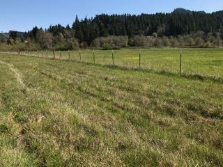 488 S Calapooia St, Sutherlin, OR 97479 photo 13