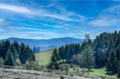 27113 Briggs Hill Rd, Eugene, OR 97401 photo 41