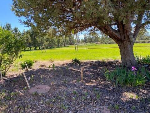 62649 Erickson Rd, Bend, OR 97701 photo 10