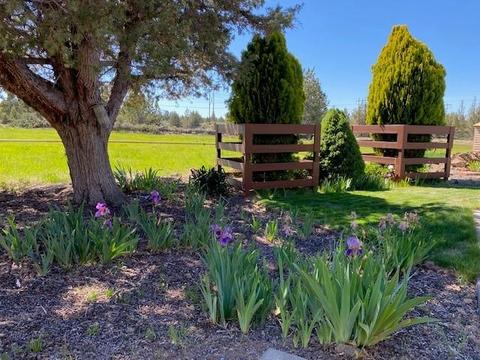 62649 Erickson Rd, Bend, OR 97701 photo 7