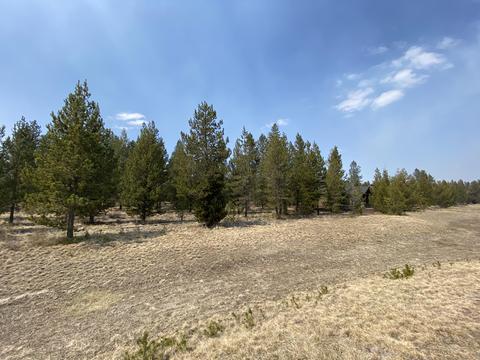 56700 Dancing Rock Loop, Bend, OR 97707 photo 4