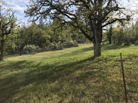 4659 Rogue River Dr, Eagle Point, OR 97524 photo 22