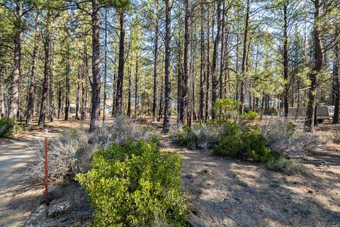 19210 Cherokee Rd, Bend, OR 97702 photo 15