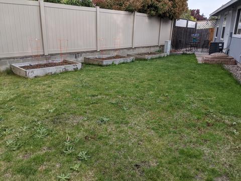 448 Daniel St, Central Point, OR 97502 photo 15