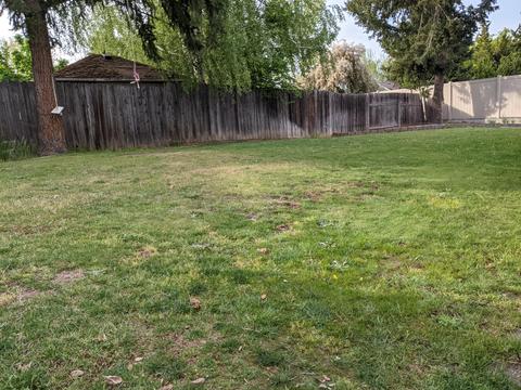 448 Daniel St, Central Point, OR 97502 photo 14