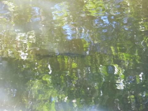 6520 Tunnel Loop Rd, Grants Pass, OR 97526 photo 70