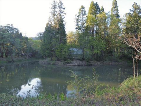 6520 Tunnel Loop Rd, Grants Pass, OR 97526 photo 69