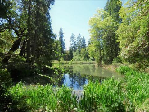 6520 Tunnel Loop Rd, Grants Pass, OR 97526 photo 65