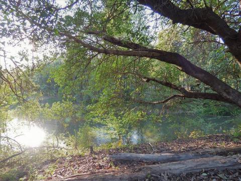 6520 Tunnel Loop Rd, Grants Pass, OR 97526 photo 67