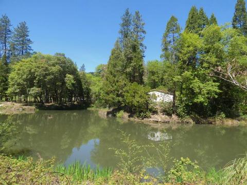 6520 Tunnel Loop Rd, Grants Pass, OR 97526 photo 66