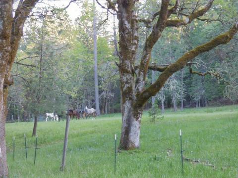 6520 Tunnel Loop Rd, Grants Pass, OR 97526 photo 57