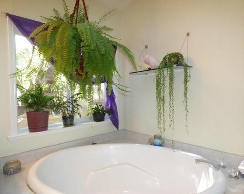 6520 Tunnel Loop Rd, Grants Pass, OR 97526 photo 25