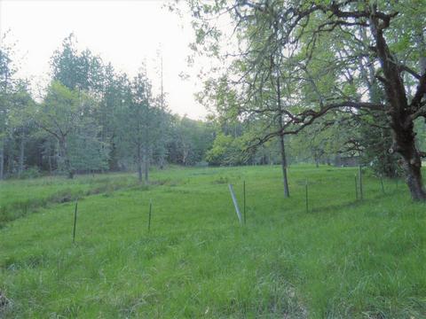 6520 Tunnel Loop Rd, Grants Pass, OR 97526 photo 59