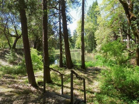 6520 Tunnel Loop Rd, Grants Pass, OR 97526 photo 64