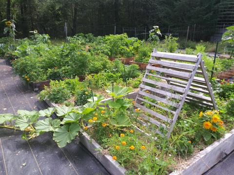 6520 Tunnel Loop Rd, Grants Pass, OR 97526 photo 62