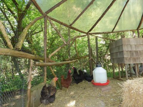 6520 Tunnel Loop Rd, Grants Pass, OR 97526 photo 52