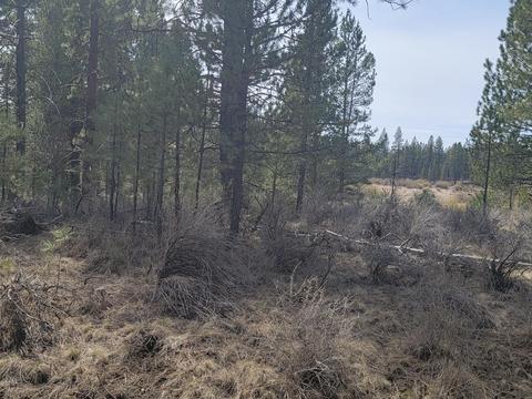 54531 Silver Fox Dr, Bend, OR 97707 photo 2