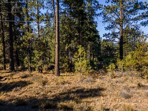 54531 Silver Fox Dr, Bend, OR 97707 photo 23