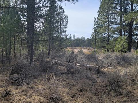 54531 Silver Fox Dr, Bend, OR 97707 photo 1