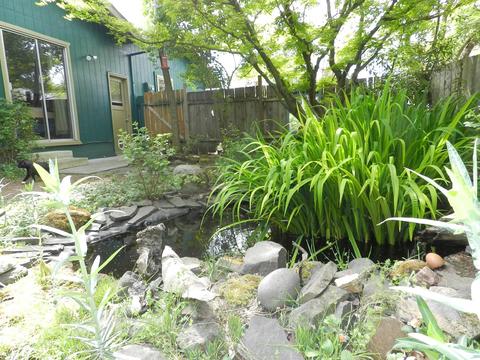 737 Hemlock Ct, Central Point, OR 97502 photo 27