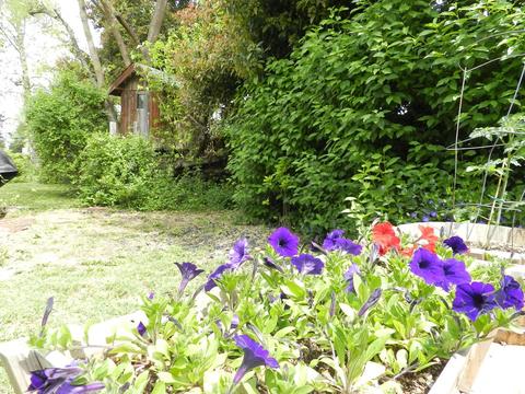 737 Hemlock Ct, Central Point, OR 97502 photo 36