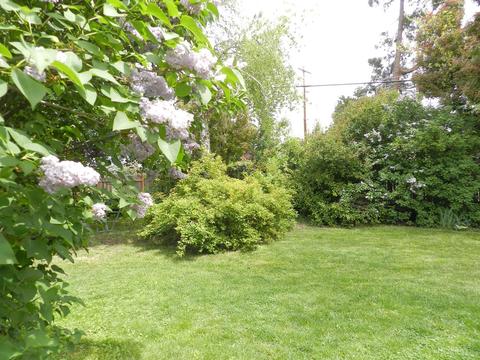 737 Hemlock Ct, Central Point, OR 97502 photo 30