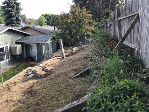715 Talbot St, Eagle Point, OR 97524 photo 23