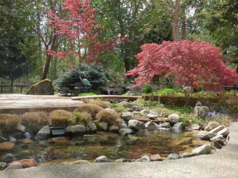 243 Cedar Flat Rd, Williams, OR 97544 photo 39