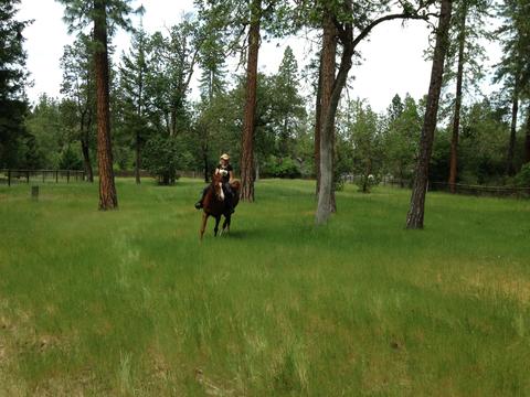 243 Cedar Flat Rd, Williams, OR 97544 photo 53