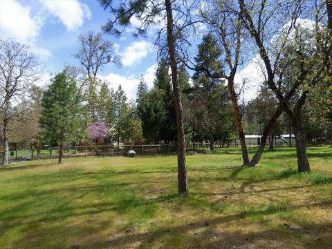 243 Cedar Flat Rd, Williams, OR 97544 photo 54