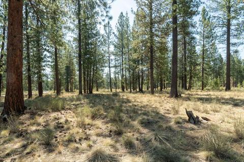 56436 Fireglass Loop, Bend, OR 97707 photo 4