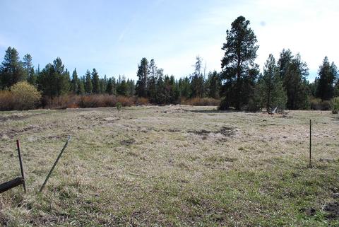 15511 Deer Ave, La Pine, OR 97739 photo 4