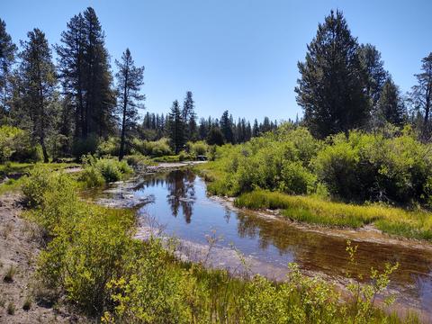 15511 Deer Ave, La Pine, OR 97739 photo 1
