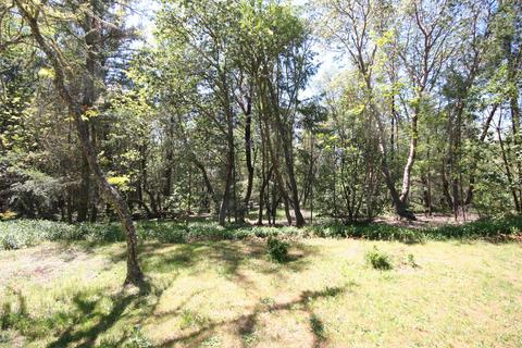 981 Upper Applegate Rd, Jacksonville, OR 97530 photo 31