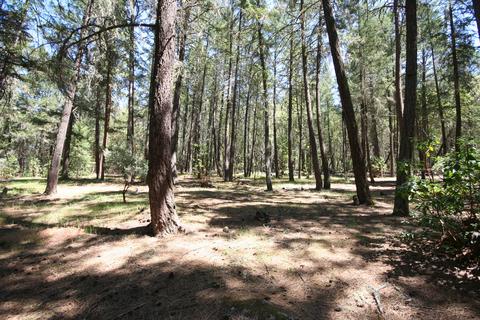 981 Upper Applegate Rd, Jacksonville, OR 97530 photo 28