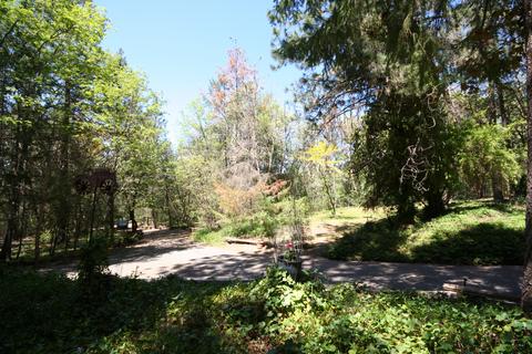981 Upper Applegate Rd, Jacksonville, OR 97530 photo 3