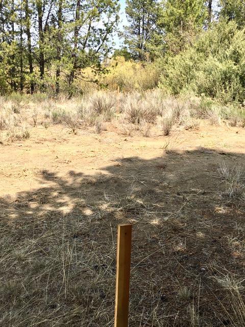 17335 Beaver Pl, Bend, OR 97707 photo 4