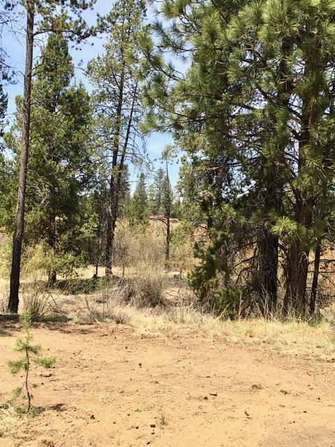 17335 Beaver Pl, Bend, OR 97707 photo 3