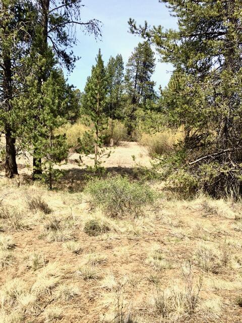 17335 Beaver Pl, Bend, OR 97707 photo 9