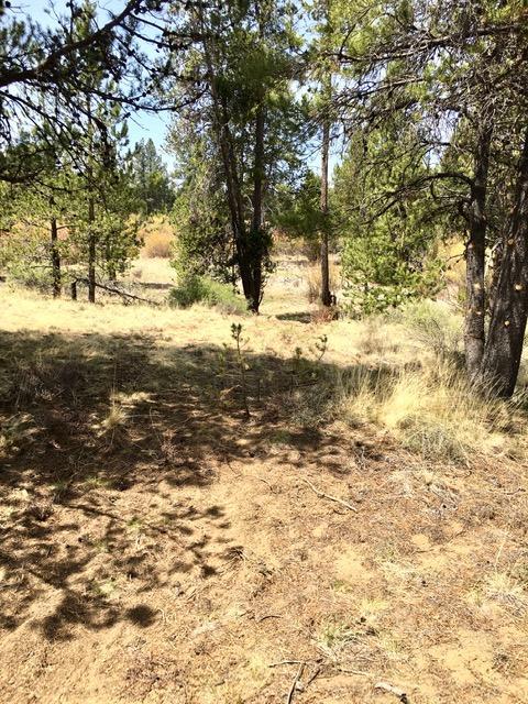 17335 Beaver Pl, Bend, OR 97707 photo 8