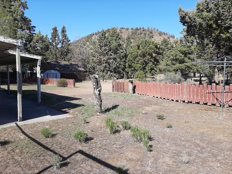 600 NE 12th St, Bend, OR 97701 photo 5