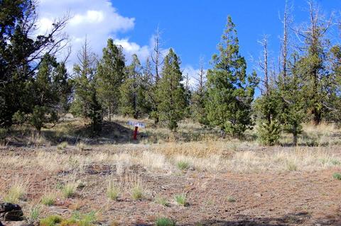 Tl 402 Snowflake Court, Prineville, OR 97754