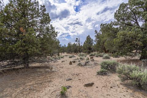 65210 85th Pl, Bend, OR 97703 photo 12