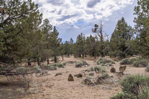 65210 85th Pl, Bend, OR 97703 photo 13