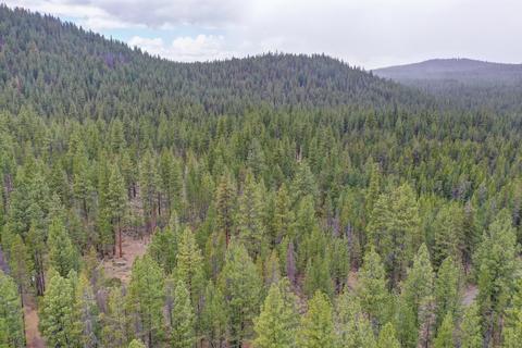 56481 Celestial Dr, Bend, OR 97707 photo 32