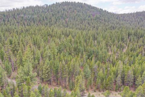 56481 Celestial Dr, Bend, OR 97707 photo 31