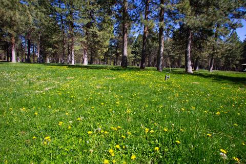 50186 Collar Dr, La Pine, OR 97739 photo 3